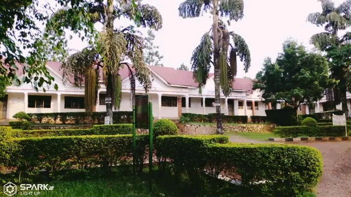Divine college wakiso